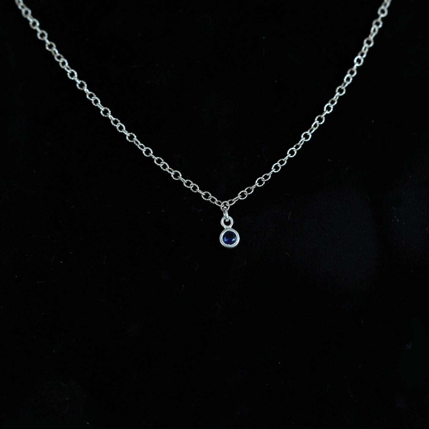 The Silver Birthstone Small Pendant Necklace December