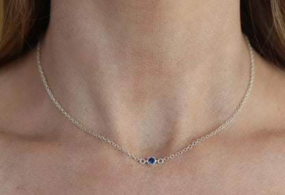 The Silver Birthstone Necklace December