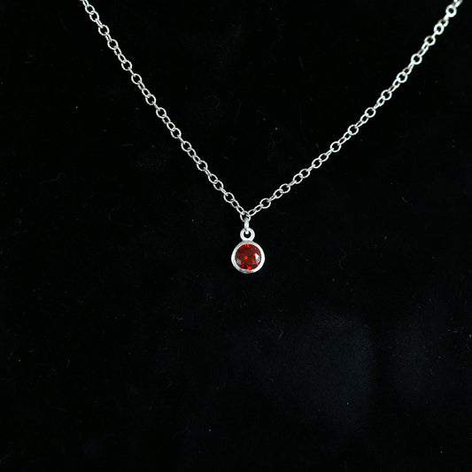 The Silver Birthstone Pendant Necklace January