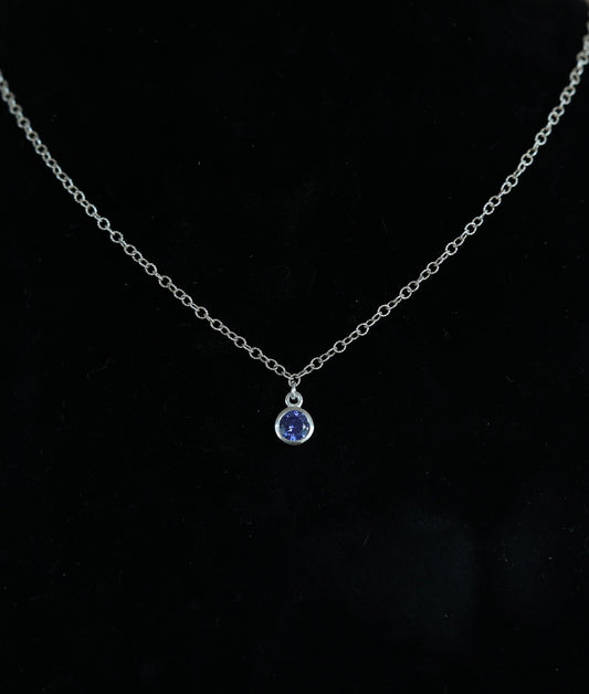 The Silver Birthstone Pendant Necklace February