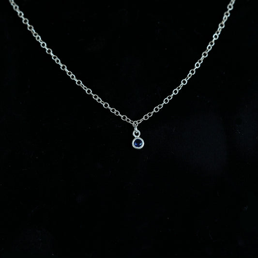 The Silver Birthstone Small Pendant Necklace December